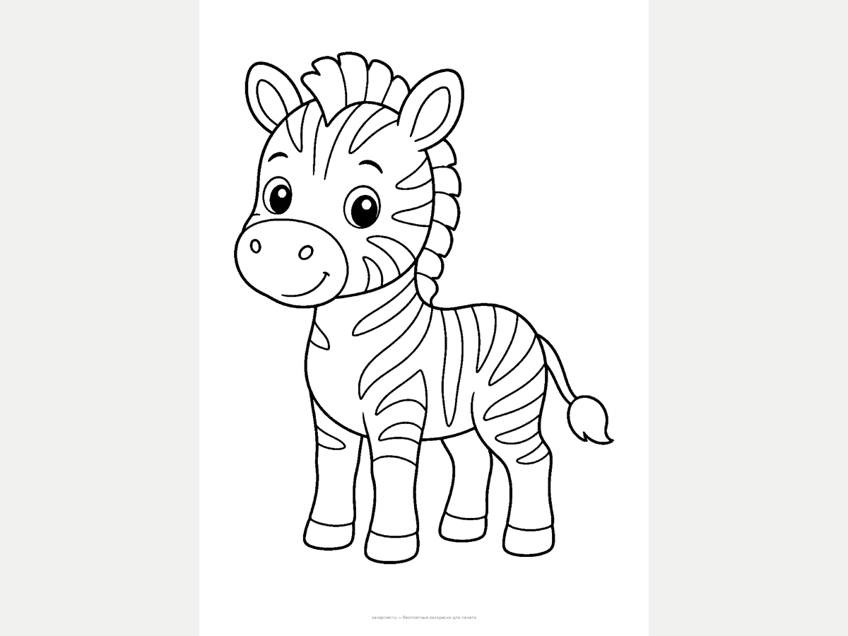 Animal Coloring Pages — 40-Page Pack preview 3