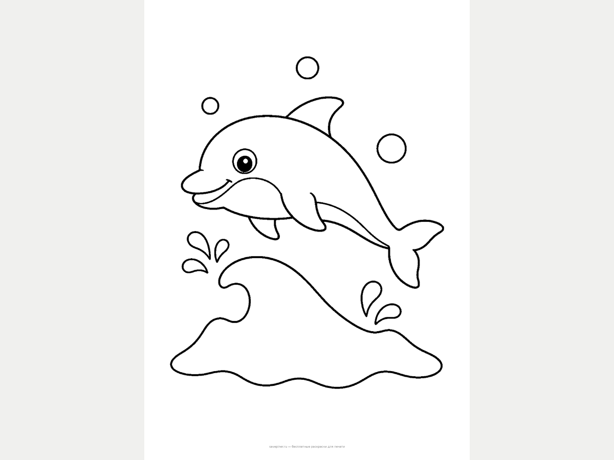 Animal Coloring Pages — 40-Page Pack preview 5