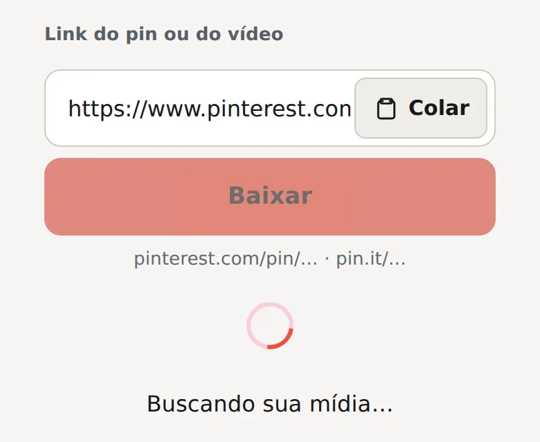 Link de um pin de imagem colado no campo, o botão Baixar esmaecido e Buscando sua mídia…
